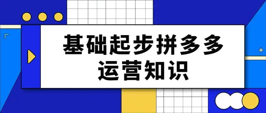纪主任 基础起步拼多多运营知识一手掌握，价值499元