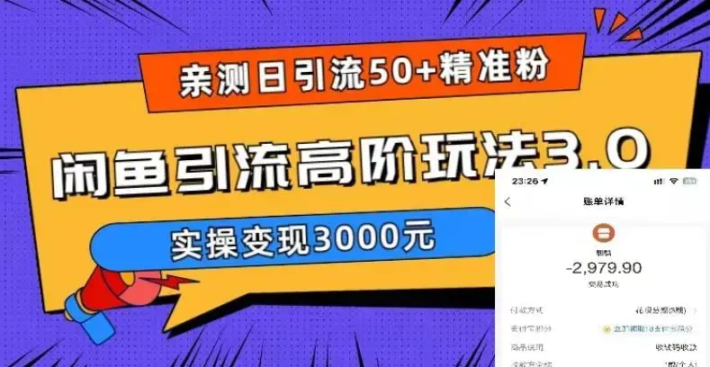 日引50+精准粉，闲鱼引流高阶玩法3.0，实操变现3000元【揭秘】