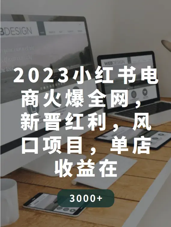 2023小红书电商火爆全网，新晋红利，风口项目，单店收益在3000-30000